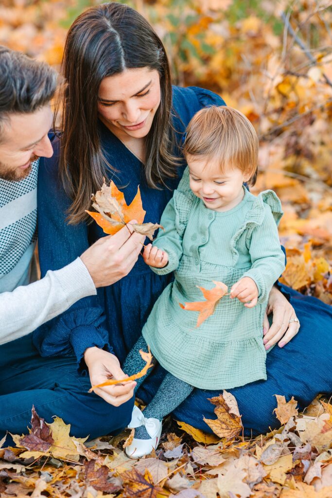 Gilsland_Farm_Maine_Audubon_Late_Fall_Family_Portraits_Photography