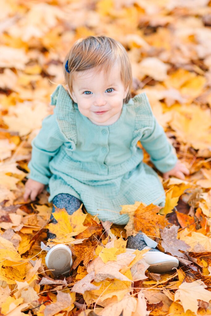 Gilsland_Farm_Maine_Audubon_Late_Fall_Family_Portraits_Photography