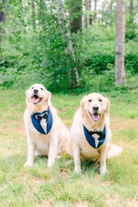 Colorful_Sunny_Fryeburg_Maine_New_England_Wedding_Photographer_Old_Saco_Inn_Summer